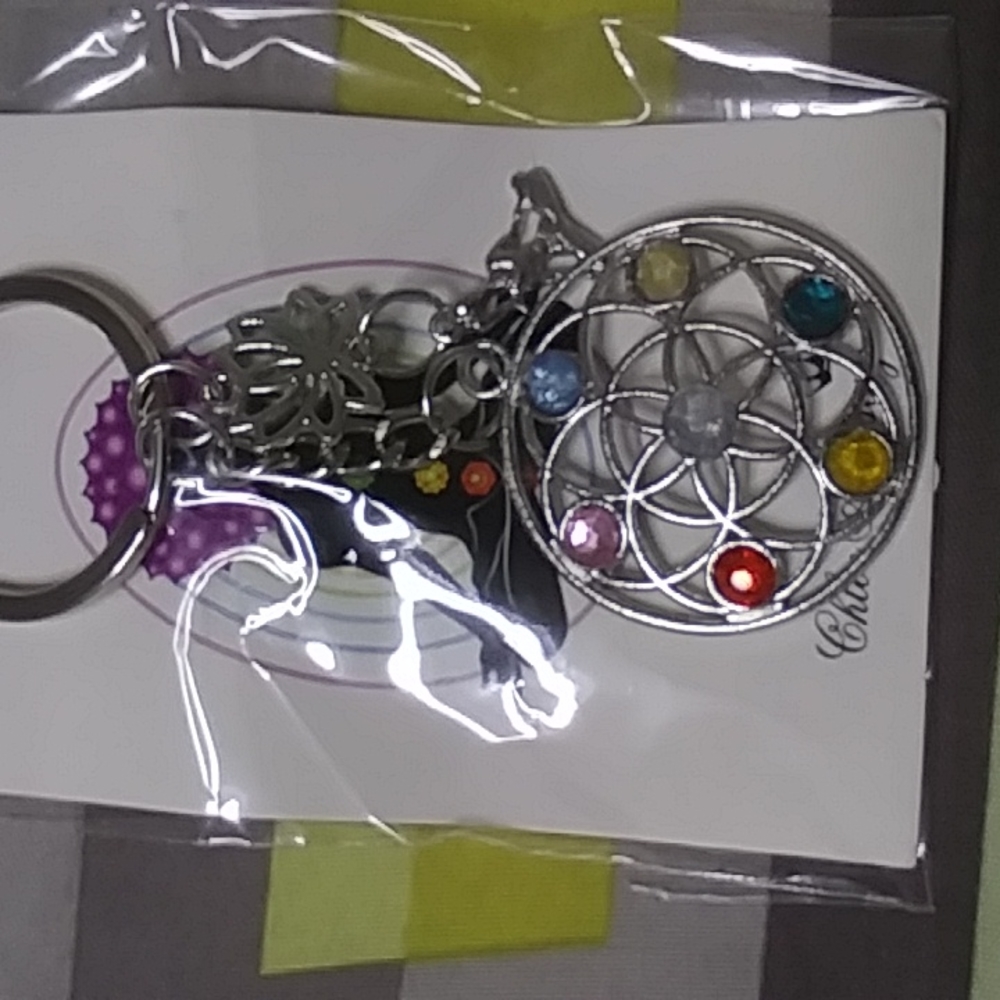 Key rings with the seven chakras